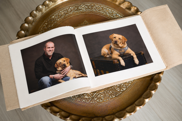 Luxury fine art pet photography album featuring a Labrador retriever and owner, displayed on a decorative gold tray.