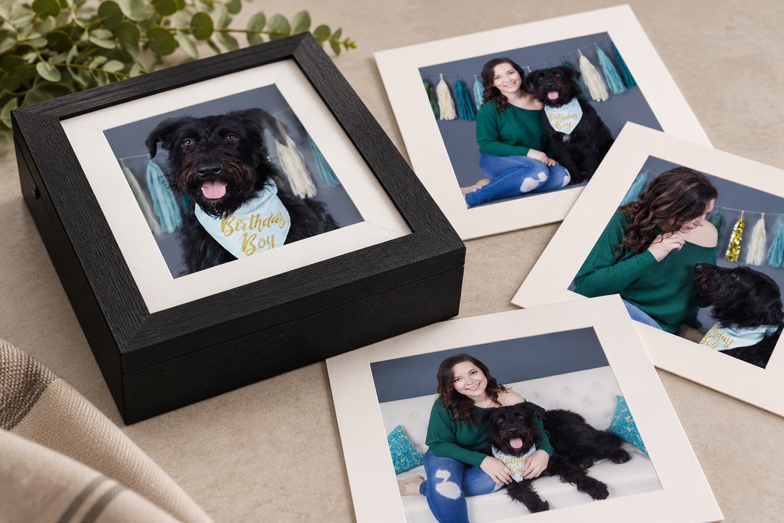 Fine art pet portrait collection featuring professionally matted dog portraits and a handcrafted presentation box.